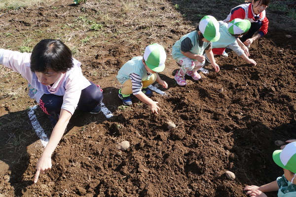 19年11月06日 埼玉県上尾市 上尾ことぶき第二幼稚園